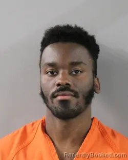 Mugshot of SEBASTIEN DERILUS