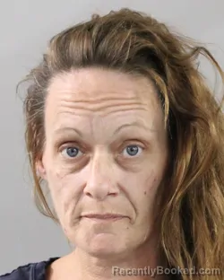 Mugshot of LISA HOWE