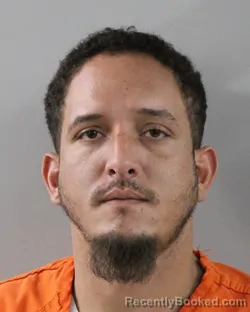 Booking photo from Polk County, Florida