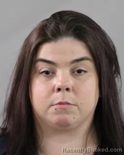 Mugshot of SHANNON HUDSON