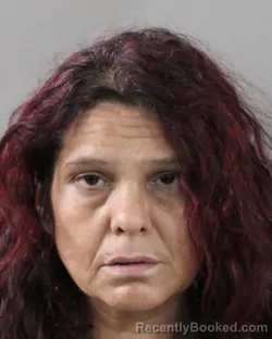 Mugshot of BRANDLYN NAVEJA