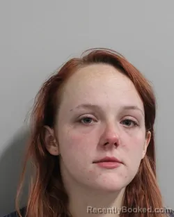 Mugshot of TAYLOR DICKEY