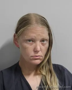 Mugshot of JESSICA JOHNSON