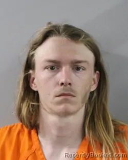 Mugshot of DUSTIN WELLS