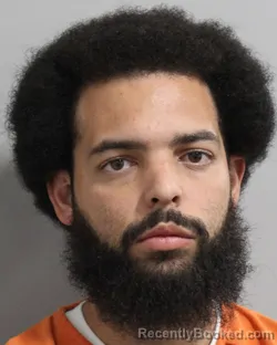 Mugshot of MICHAEL LUDDEN