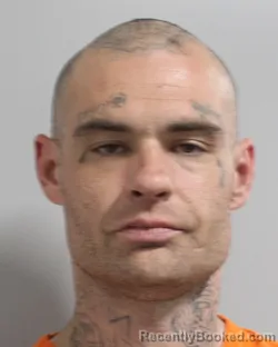 Mugshot of RICHARD ALLEN