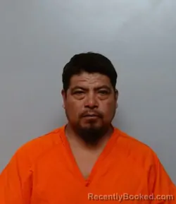 Mugshot of ISMAEL MARTINEZ-LEON