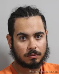Mugshot of LUIS DAVILA