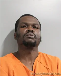 Mugshot of JEAN METELUS