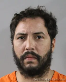 Mugshot of CARLOS ORTIZ