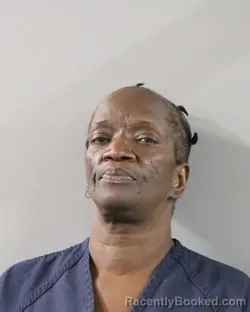 Mugshot of PATRICIA HERRING