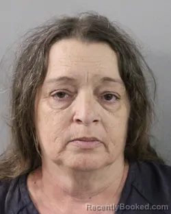 Mugshot of BRIDGET CLIFFORD