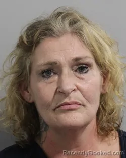 Mugshot of RITA SANCHEZ booked in Polk County, Florida on March 3, 2026