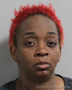 Mugshot of SHEMMER JOHNSON booked in Polk County, Florida on March 3, 2026