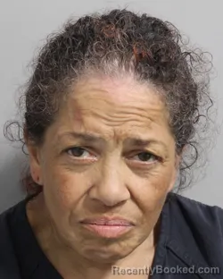 Mugshot of FELICITA RIVERA booked in Polk County, Florida on March 3, 2026