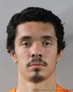 Mugshot of RICHARD DELLA PERUTO booked in Polk County, Florida on March 3, 2026