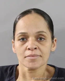 Mugshot of MICHELLE LEE booked in Polk County, Florida on March 3, 2026