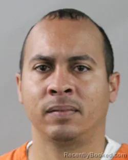 Mugshot of MACAULAY FALU BAEZ booked in Polk County, Florida on March 3, 2026