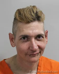 Mugshot of TIMOTHY SHEFFIELD booked in Polk County, Florida on March 4, 2026