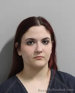 Mugshot of SHADELLY LLANES booked in Polk County, Florida on March 4, 2026