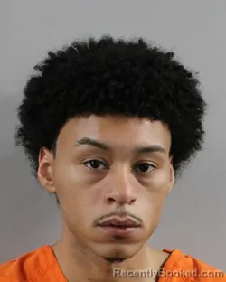 Mugshot of ALEKSANDUR ROMAN booked in Polk County, Florida on March 5, 2026