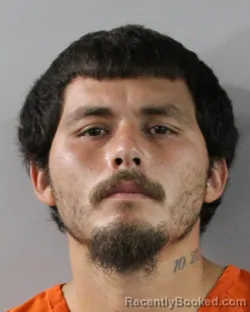 Mugshot of NOE DOMINGUEZ booked in Polk County, Florida on March 5, 2026