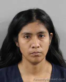 Mugshot of DANIA DIAZ booked in Polk County, Florida on March 6, 2026