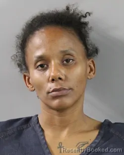 Mugshot of GABRIELLA PARTRIDGE booked in Polk County, Florida on March 6, 2026