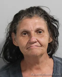 Mugshot of CRYSTAL HICKS booked in Polk County, Florida on March 6, 2026