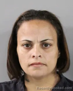 Mugshot of FRANCES FUJARTE HERNANDEZ booked in Polk County, Florida on March 7, 2026