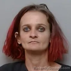 Mugshot of HEIDI REID booked in Polk County, Florida on March 7, 2026