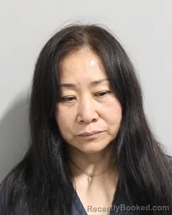 Mugshot of CHUNYAN ZHANG booked in Polk County, Florida on March 9, 2026