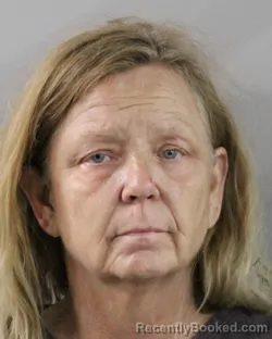 Mugshot of KAREN DIAS booked in Polk County, Florida on March 9, 2026