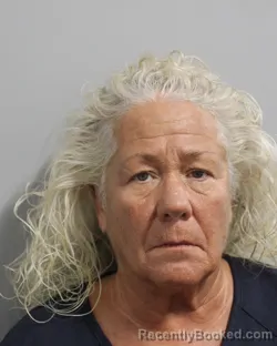 Mugshot of ROBIN DOYLE booked in Polk County, Florida on March 10, 2026