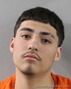 Mugshot of RAFIER LOZANO booked in Polk County, Florida on March 10, 2026