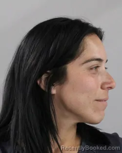 Mugshot of VERONICA CANCEL DIAZ booked in Polk County, Florida on March 10, 2026