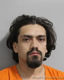 Mugshot of DAVID MENDEZ DIAZ