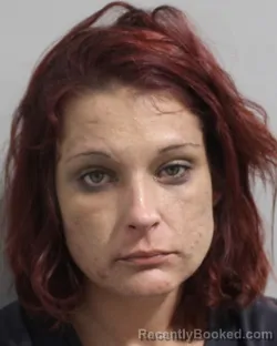 Mugshot of JORDAN JOHNSTON