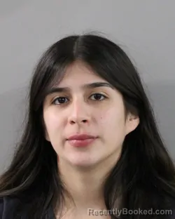 Mugshot of JENNET SOLIS REYES booked in Polk County, Florida on March 11, 2026