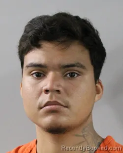 Mugshot of JOAO-KLEBER MATOS DA SILVA MARQUES booked in Polk County, Florida on March 11, 2026