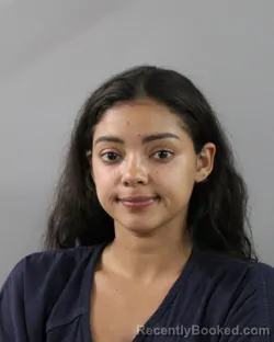 Mugshot of DAILID REYES booked in Polk County, Florida on March 11, 2026