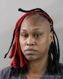 Mugshot of CHARLETTE PORTER booked in Polk County, Florida on March 13, 2026