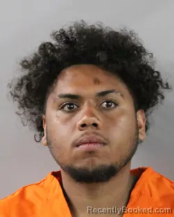 Mugshot of ANGEL ALCANTARA booked in Polk County, Florida on March 13, 2026