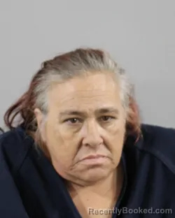 Mugshot of MINDY WILLIAMS