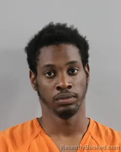 Mugshot of RANSEL SANGSTER