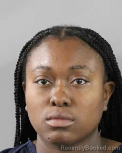 Mugshot of RAVEN LOWERY booked in Polk County, Florida on March 16, 2026