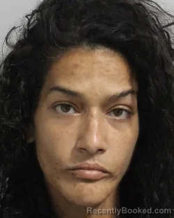 Booking photo from Polk County, Florida