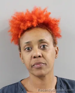 Mugshot of BRIDGETTE REYNOLDS booked in Polk County, Florida on March 17, 2026