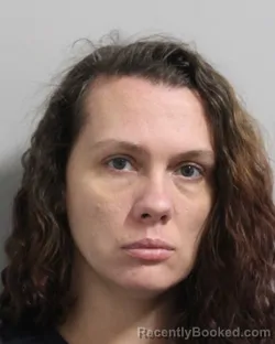 Mugshot of LISA LUNA booked in Polk County, Florida on March 17, 2026