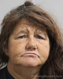 Mugshot of LISA MANNING booked in Polk County, Florida on March 19, 2026